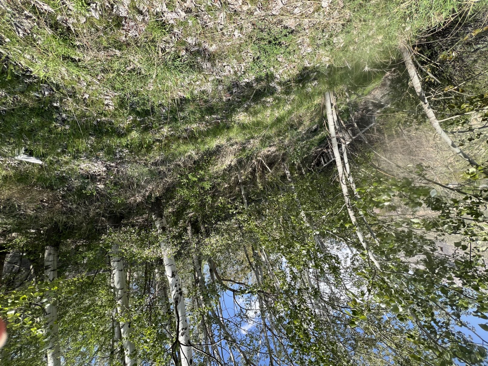 فروش زمین در فشم تهران